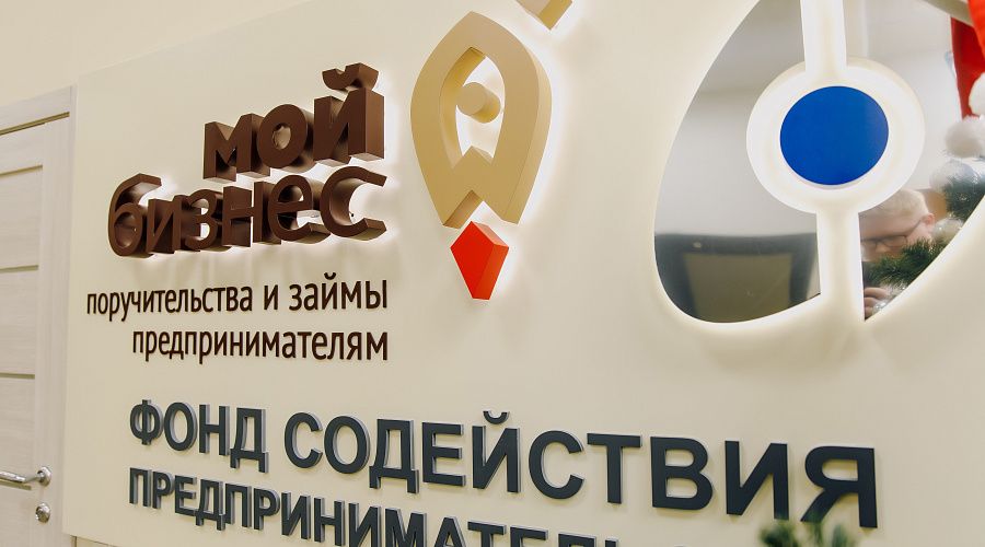 С начала года с помощью поручительств Фонд содействия предпринимательству привлёк в экономику региона 800 млн. рублей - фото 2