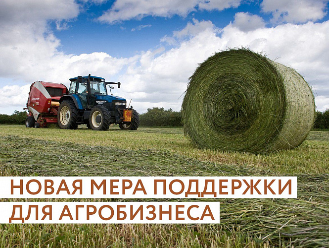 Агробизнесу Тверской области доступна новая мера государственной поддержки